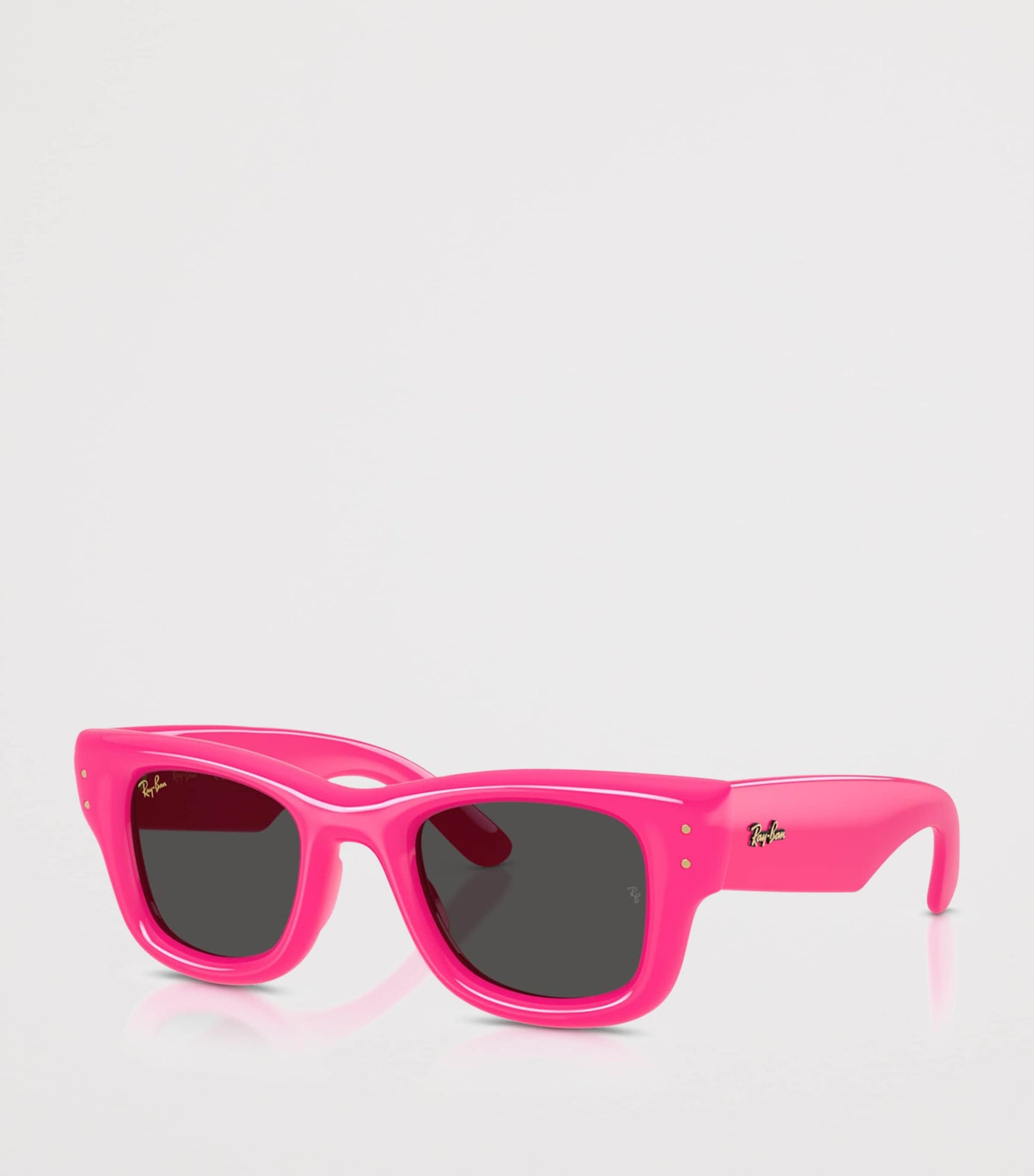 Ray-Ban x A$AP Rocky Wayfarer Puffer Sunglasses