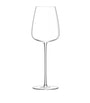 Set of 2 Wine Culture White Wine Glasses (490ml)