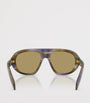 Brown Acetate Oversized Sunglasses