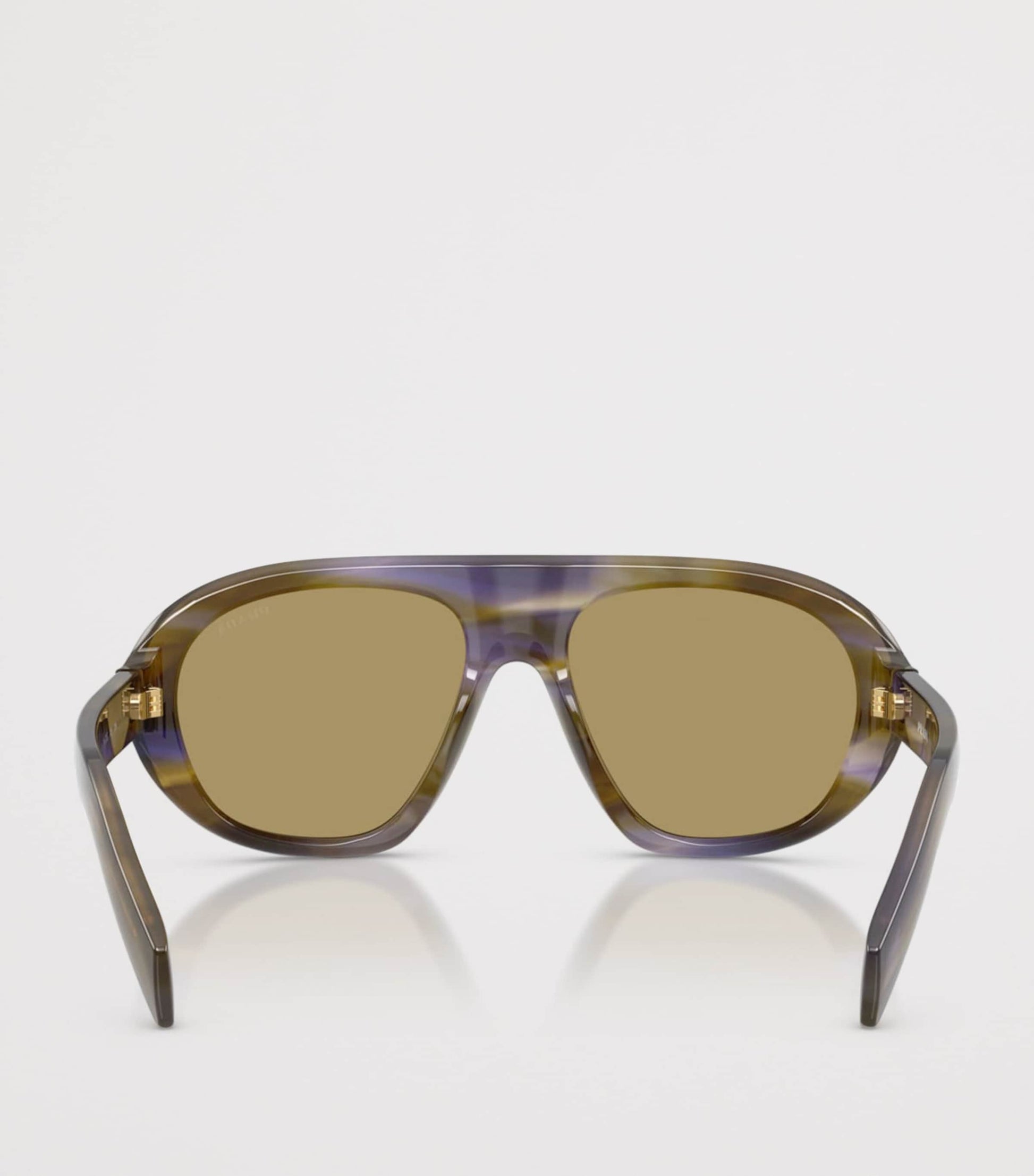 Brown Acetate Oversized Sunglasses