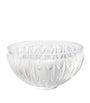 Crystal Plumes Bowl (20cm)