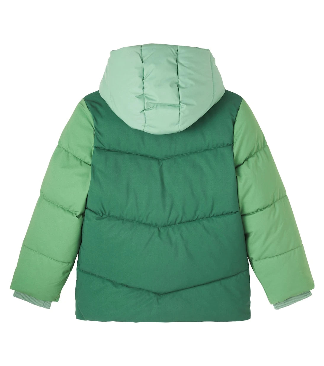 Roarsome - Colorblocked puffer jacket