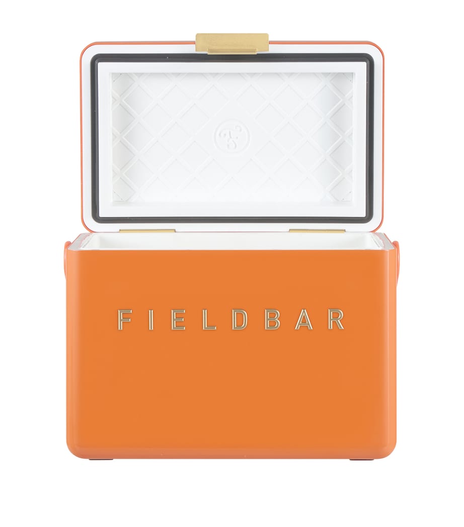 Mini Bar Cooler Box with Leather Sling (4L)