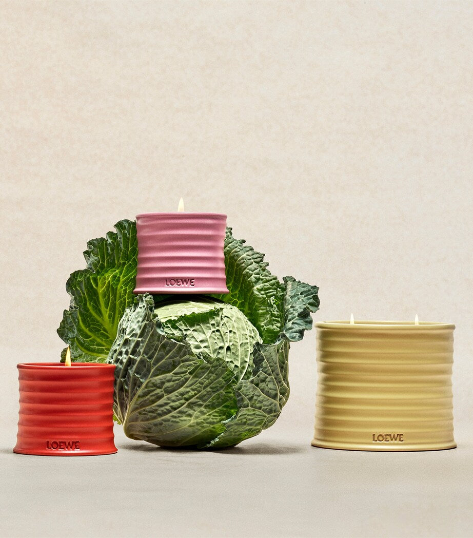 LOEWE Medium Ivy Candle (610g)