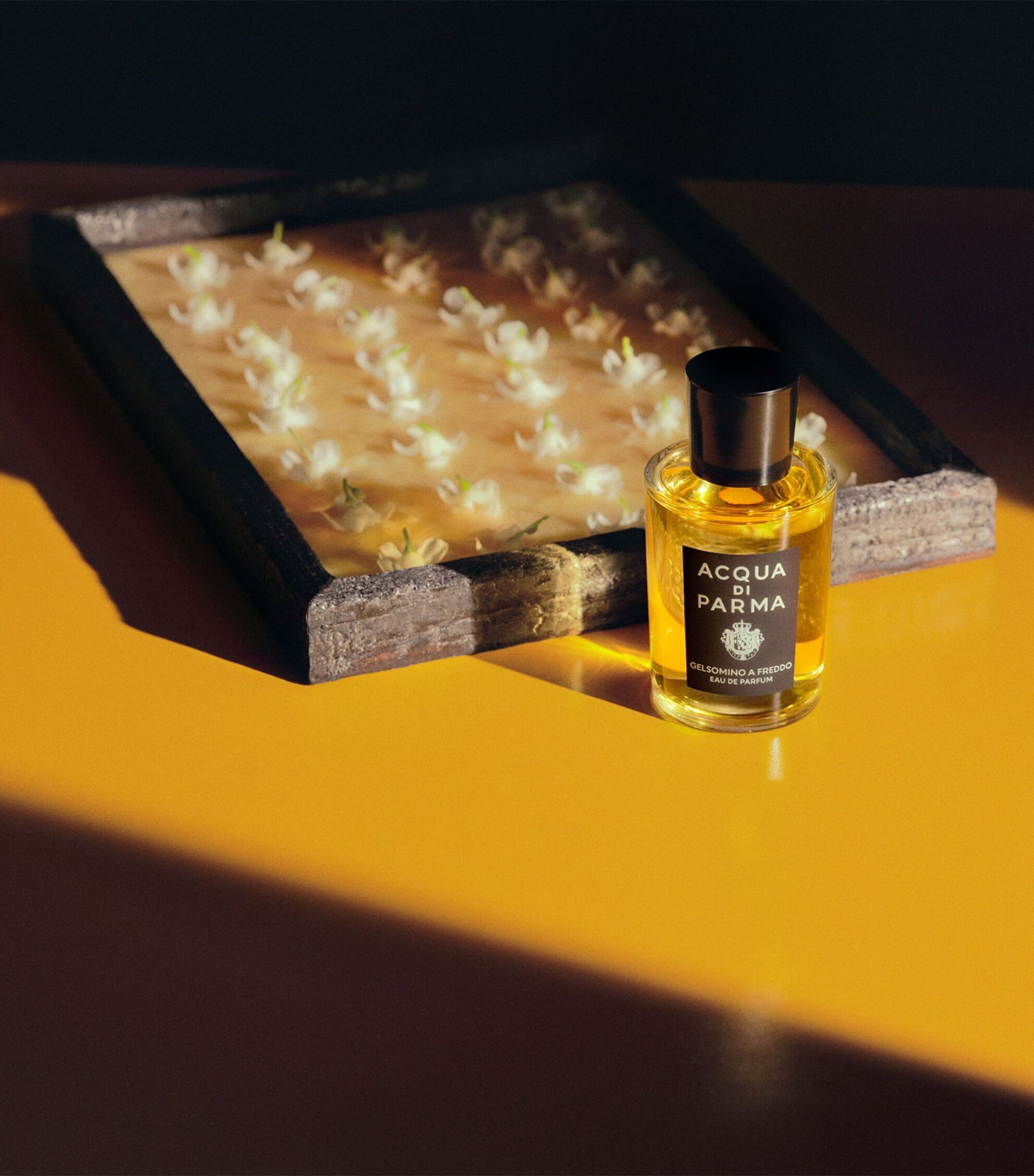 Gelsomino a Freddo Eau de Parfum (50ml)