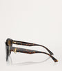 Brown Acetate JC5007 Sunglasses