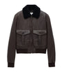 Saint Laurent Brown Shearling-Collar Leather Jacket