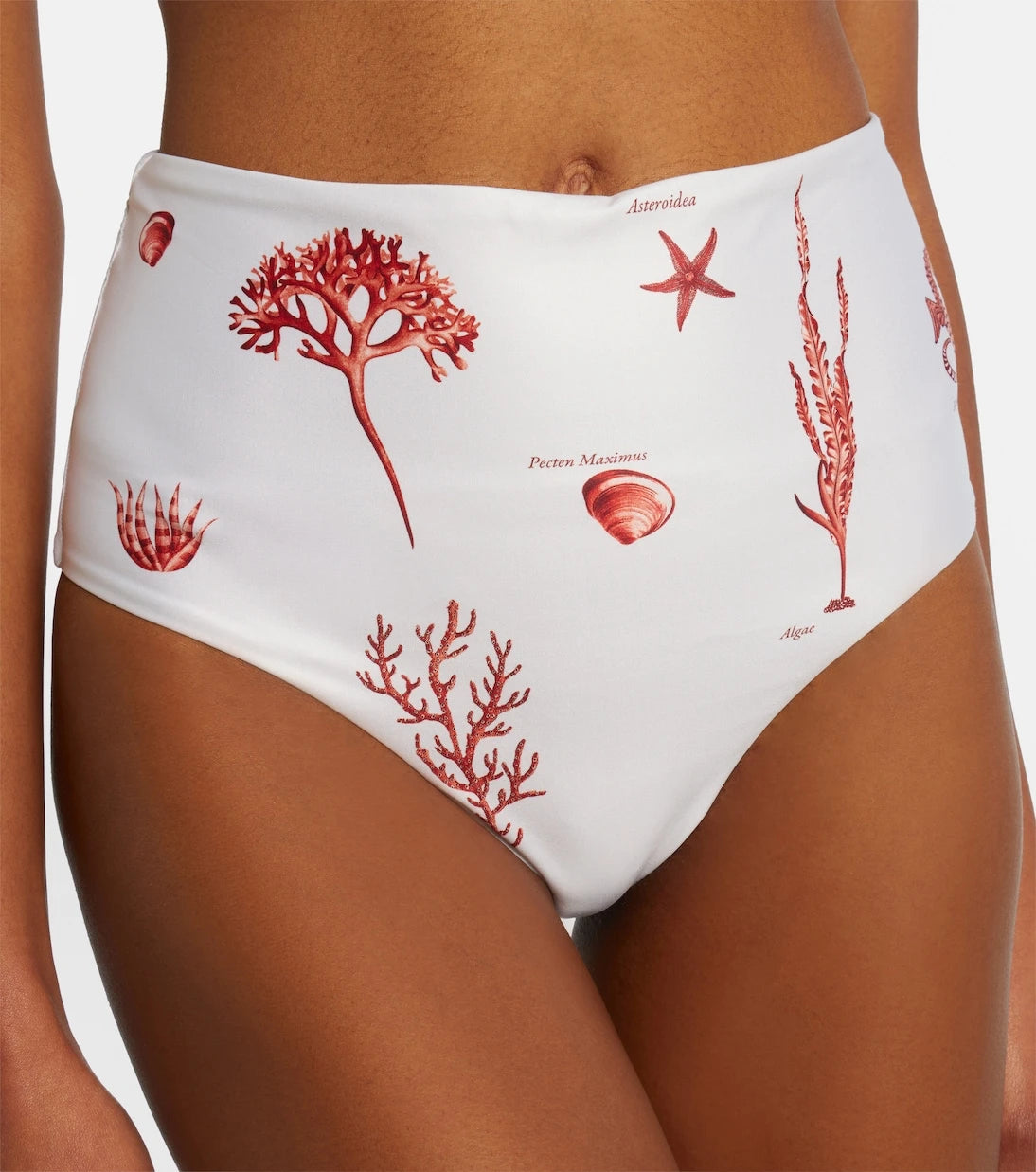 Agua by Agua Bendita - Magdalena printed bikini bottoms