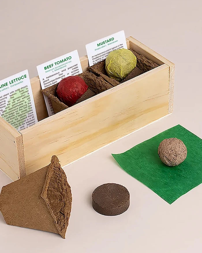 Комплект за отглеждане на растения RESETEA Hamburger Growing Kit 21 x 7,8 x 6,5 cm