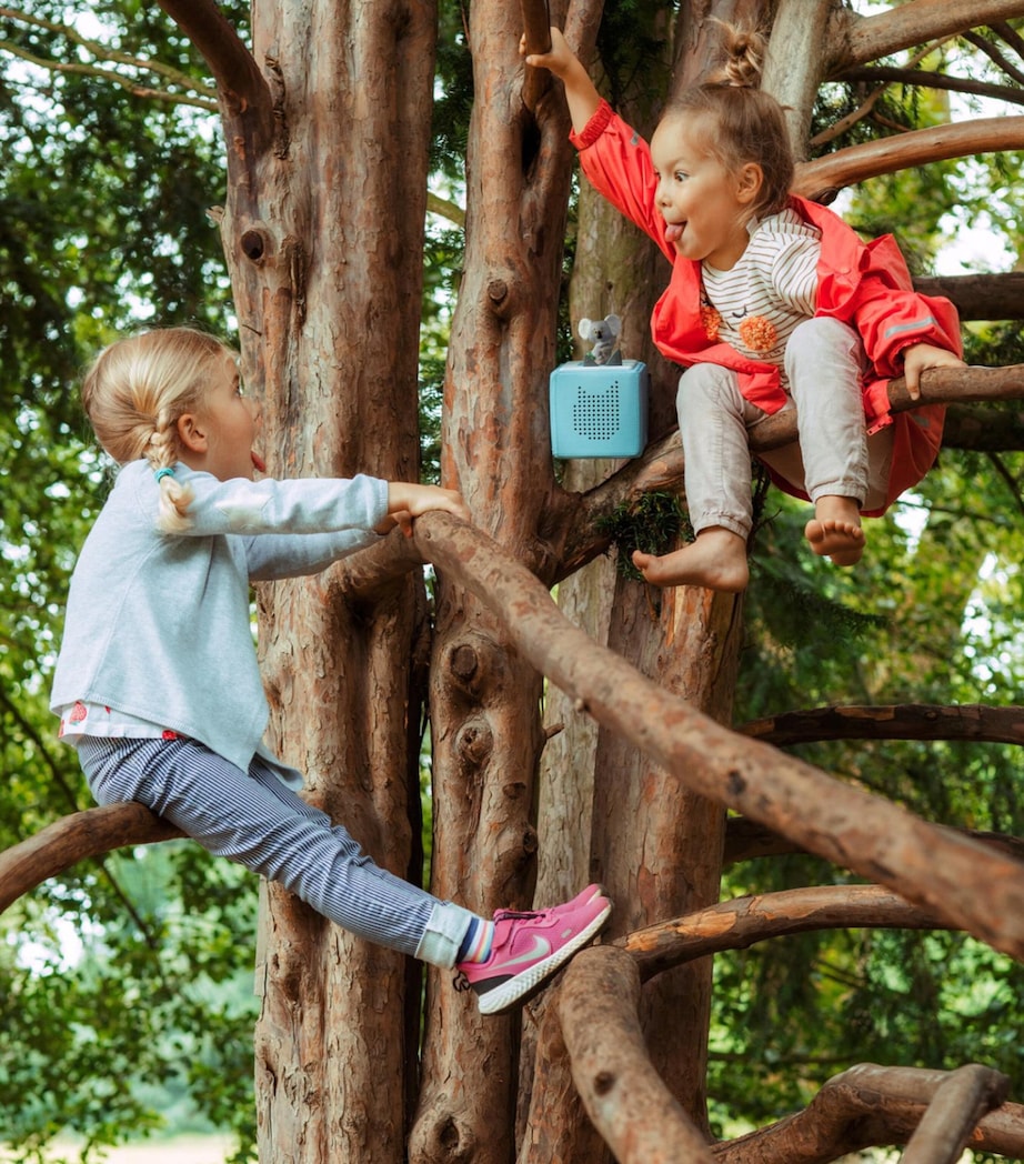 The Koala Who Could and Other Stories Tonie