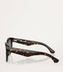 Brown Steel BE4432U Sunglasses