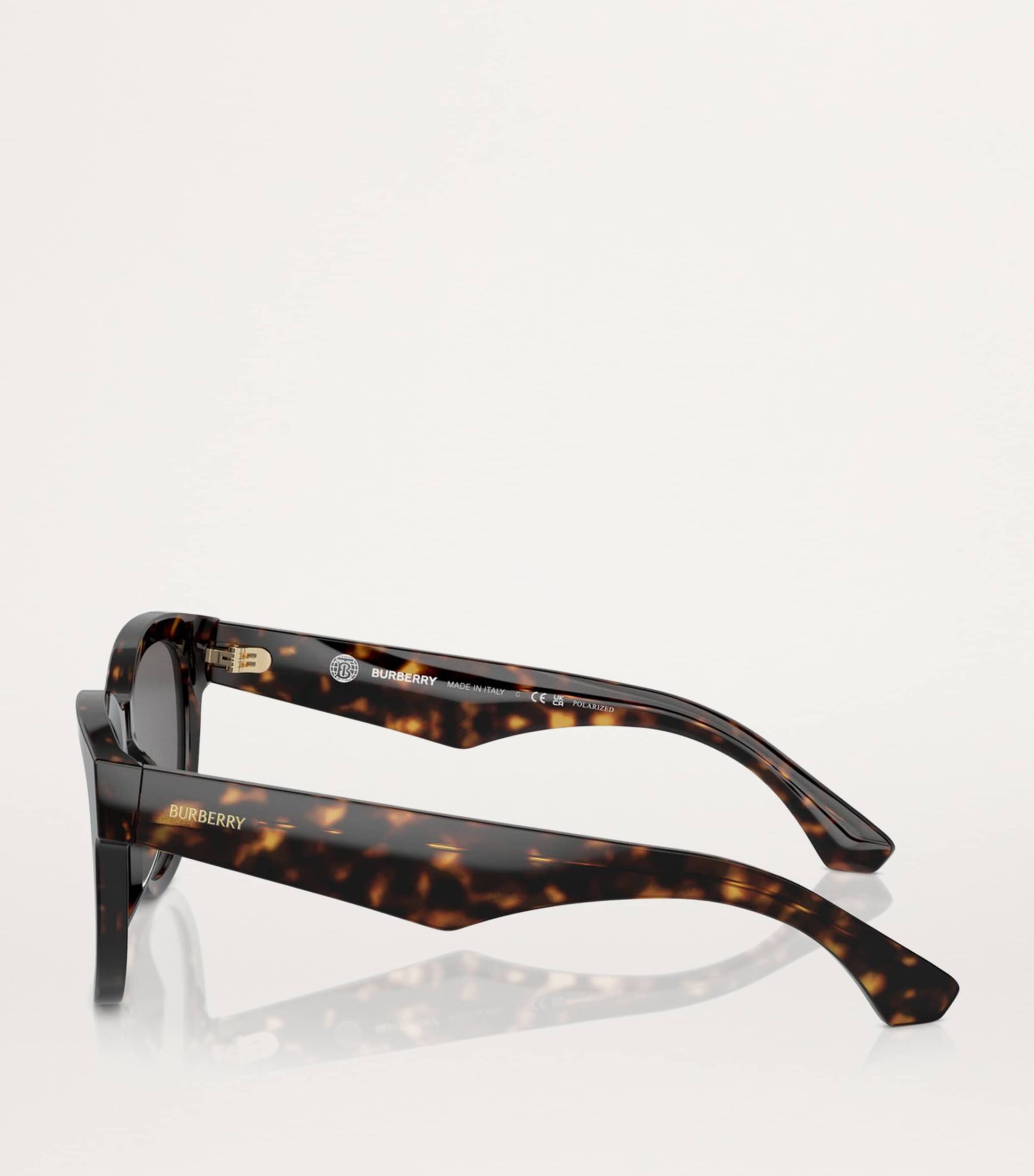 Brown Steel BE4432U Sunglasses