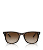 Ray-Ban Brown Injected RB4420 Sunglasses