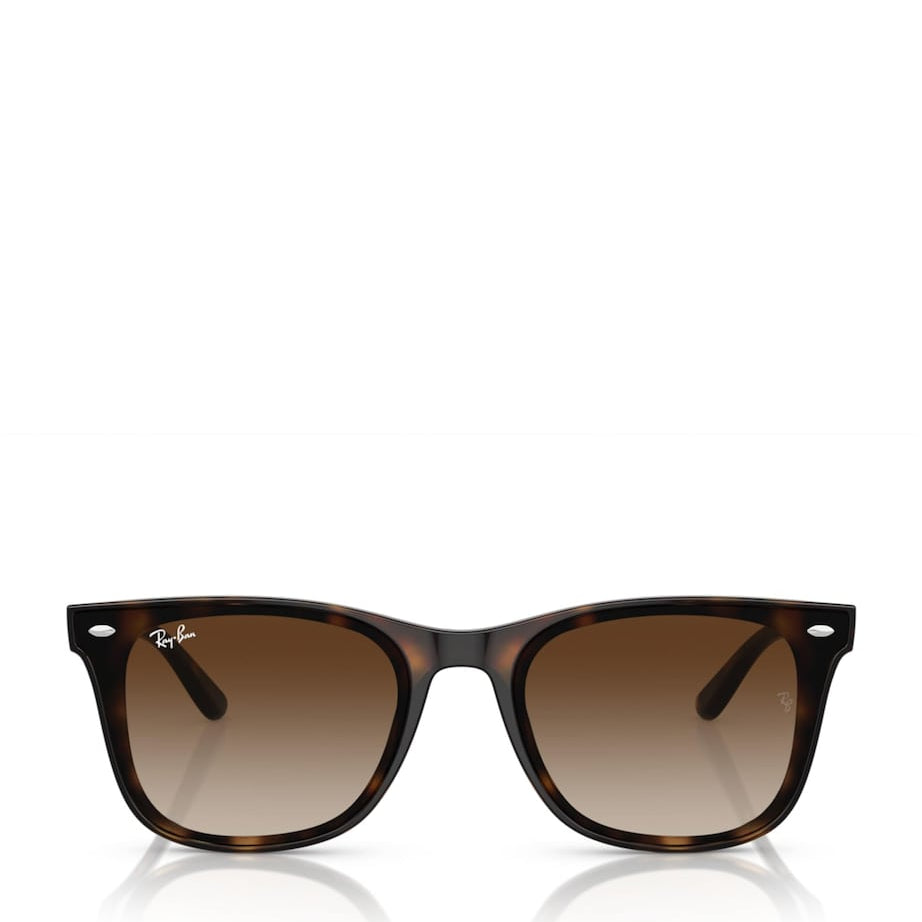 Ray-Ban Brown Injected RB4420 Sunglasses