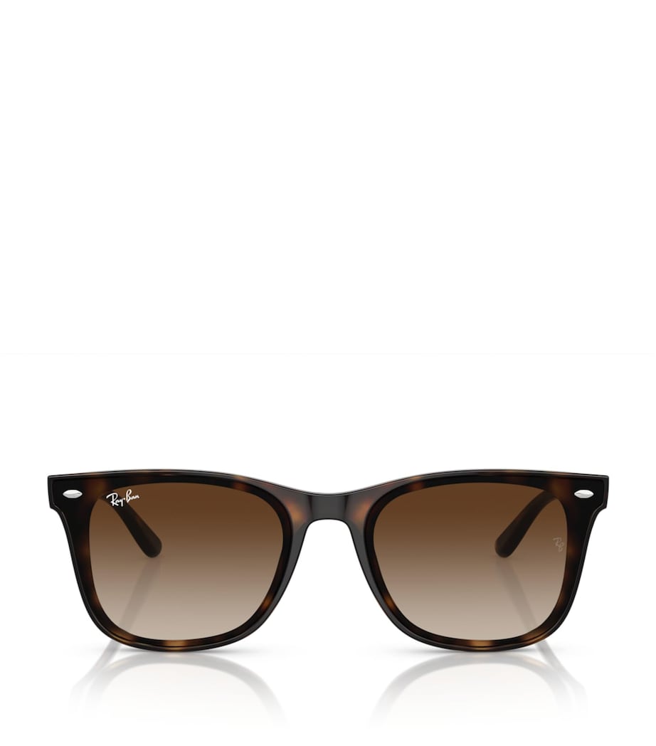 Ray-Ban Brown Injected RB4420 Sunglasses