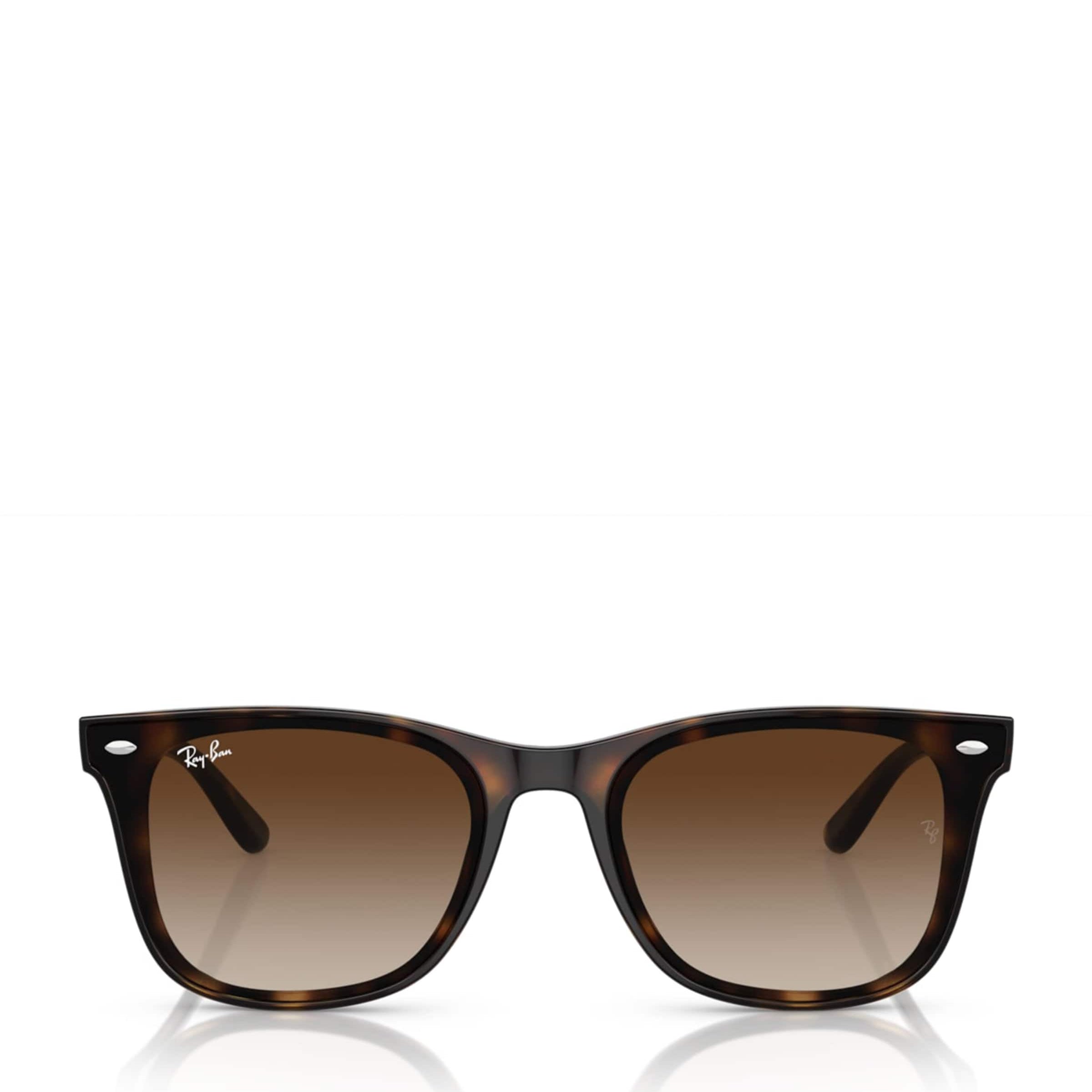 Injected RB4420 Sunglasses