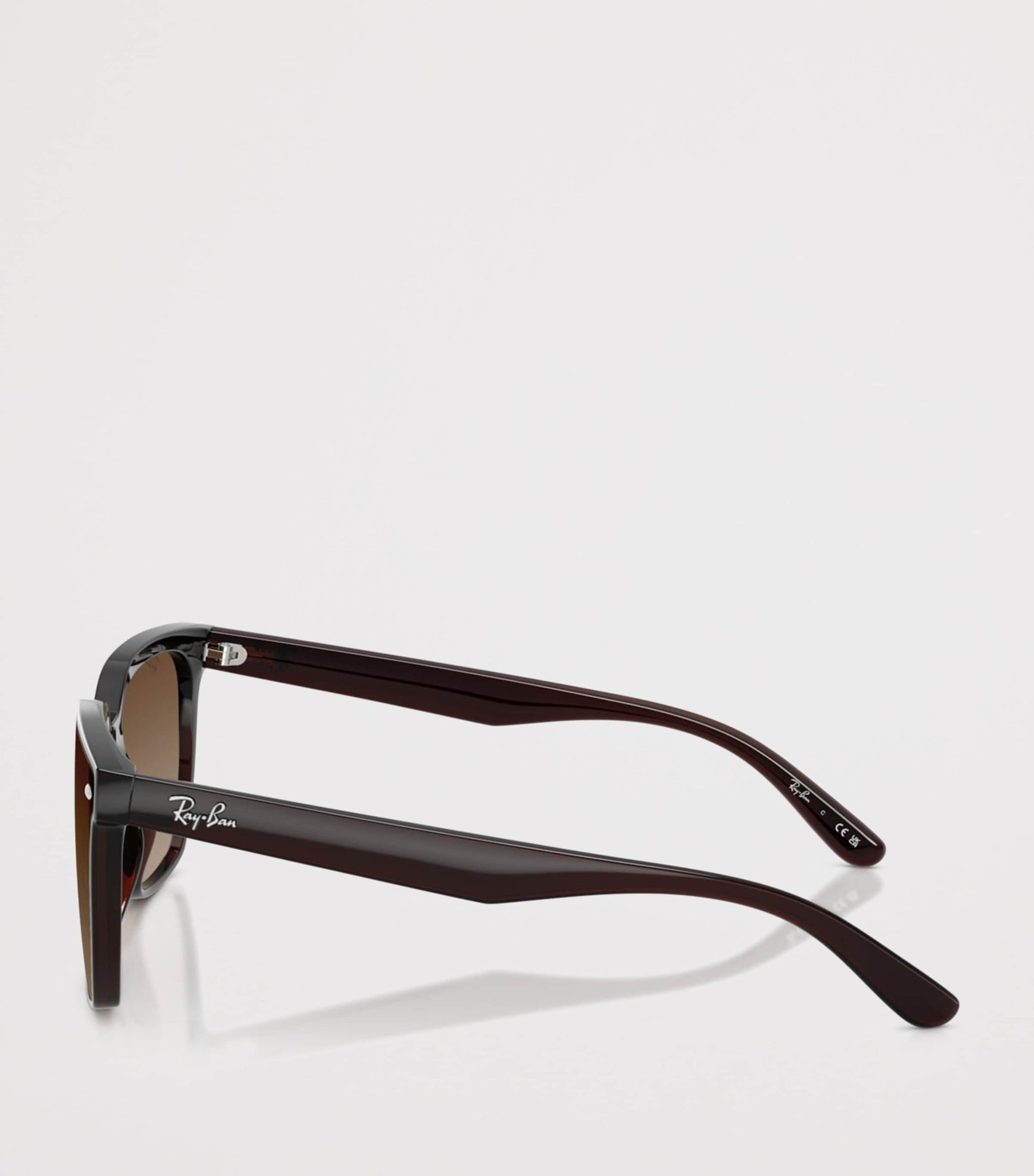 RB4466D Square Sunglasses