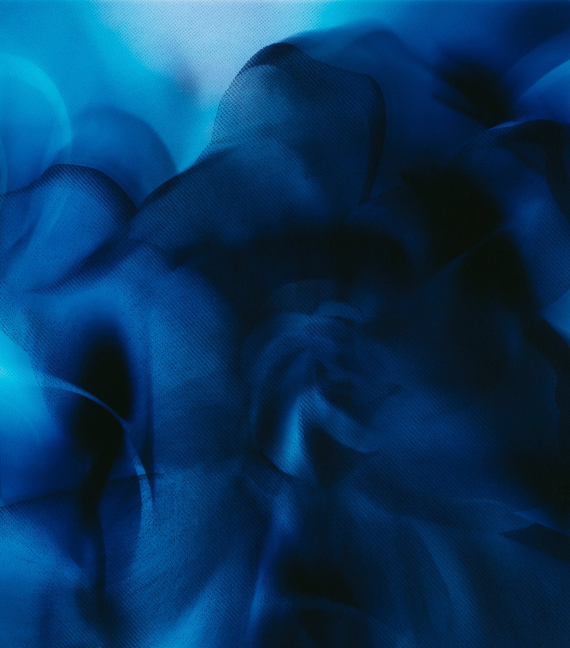 Casablanca Lily Extrait de Parfum (70ml)