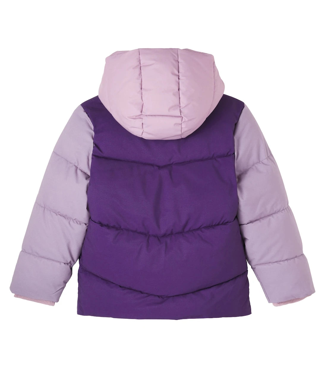 Roarsome - Colorblocked puffer jacket
