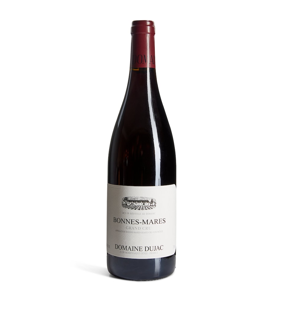 Domaine Dujac Grand Cru Pinot Noir 2019 (75cl) - Burgundy, France