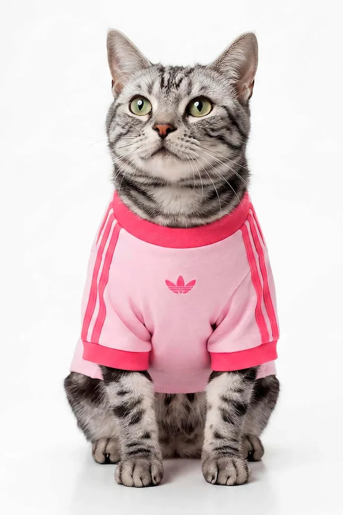 adidas Originals Evcil Hayvan Pet Cali