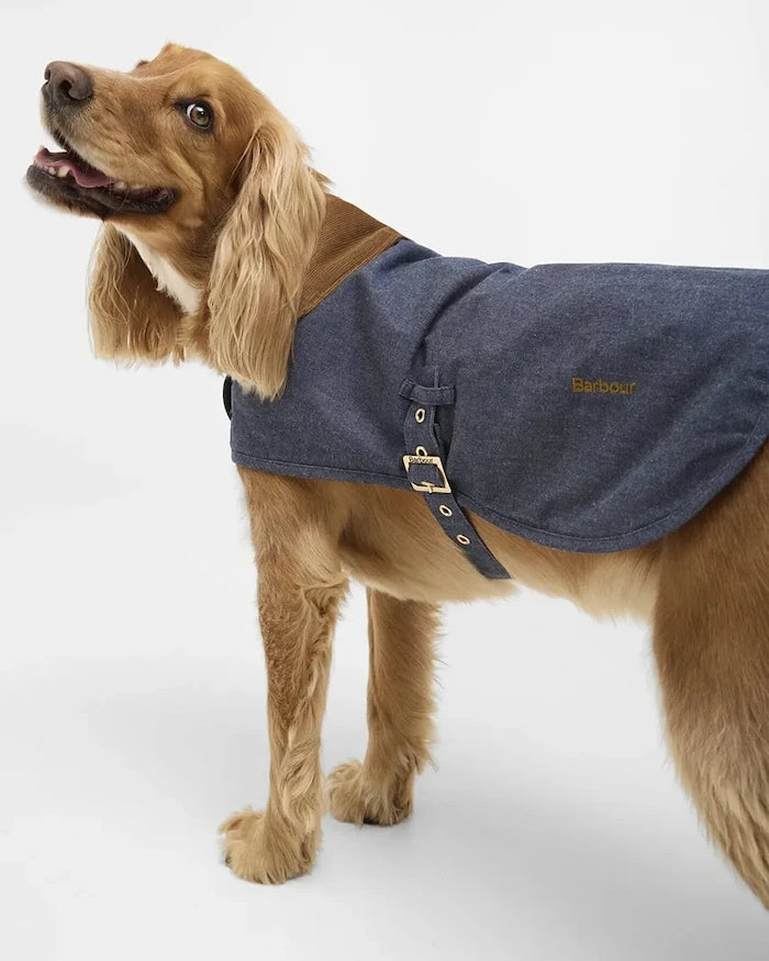 Barbour köpek ceketi