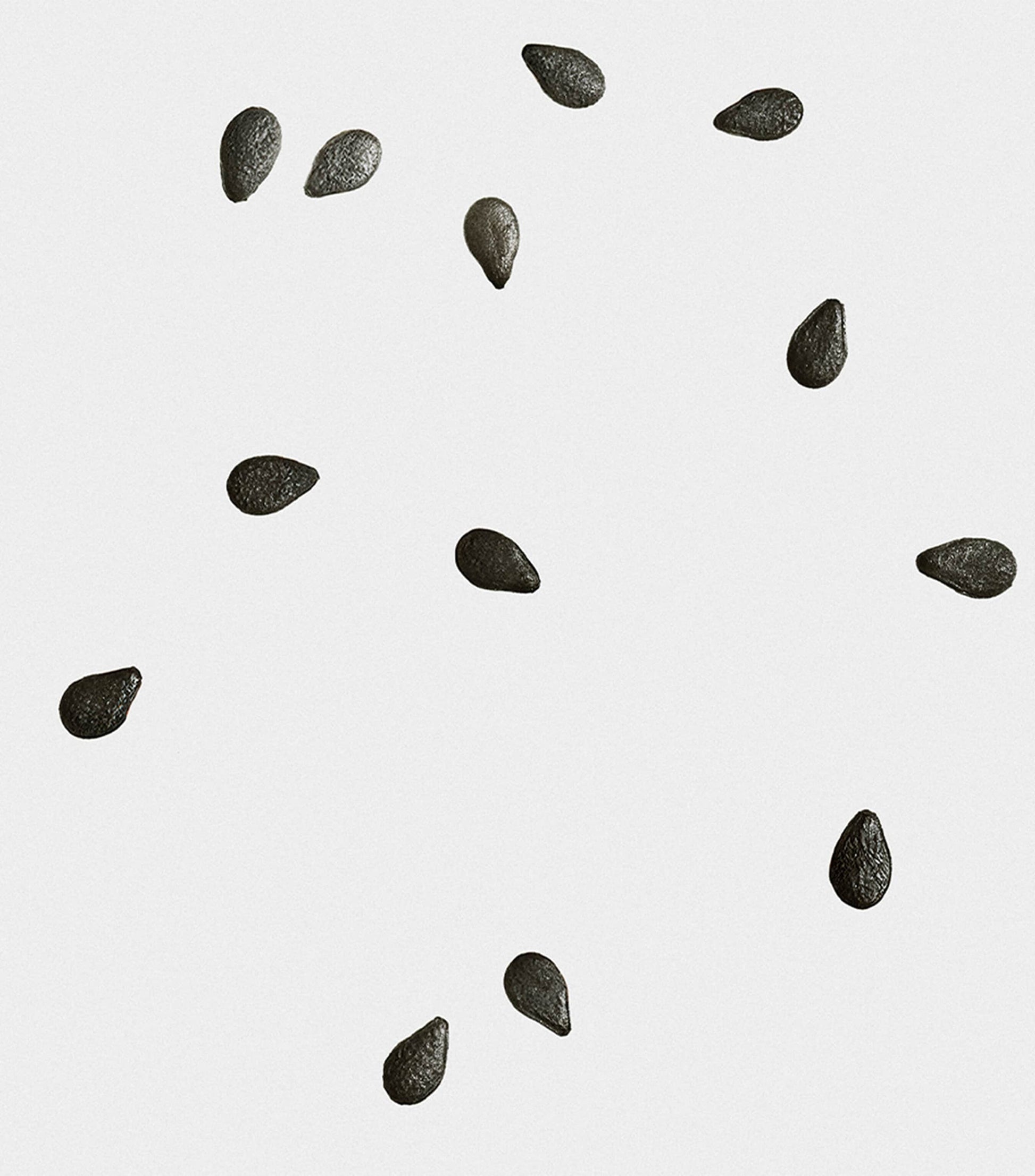 LOEWE Black Sesame Scented Candle