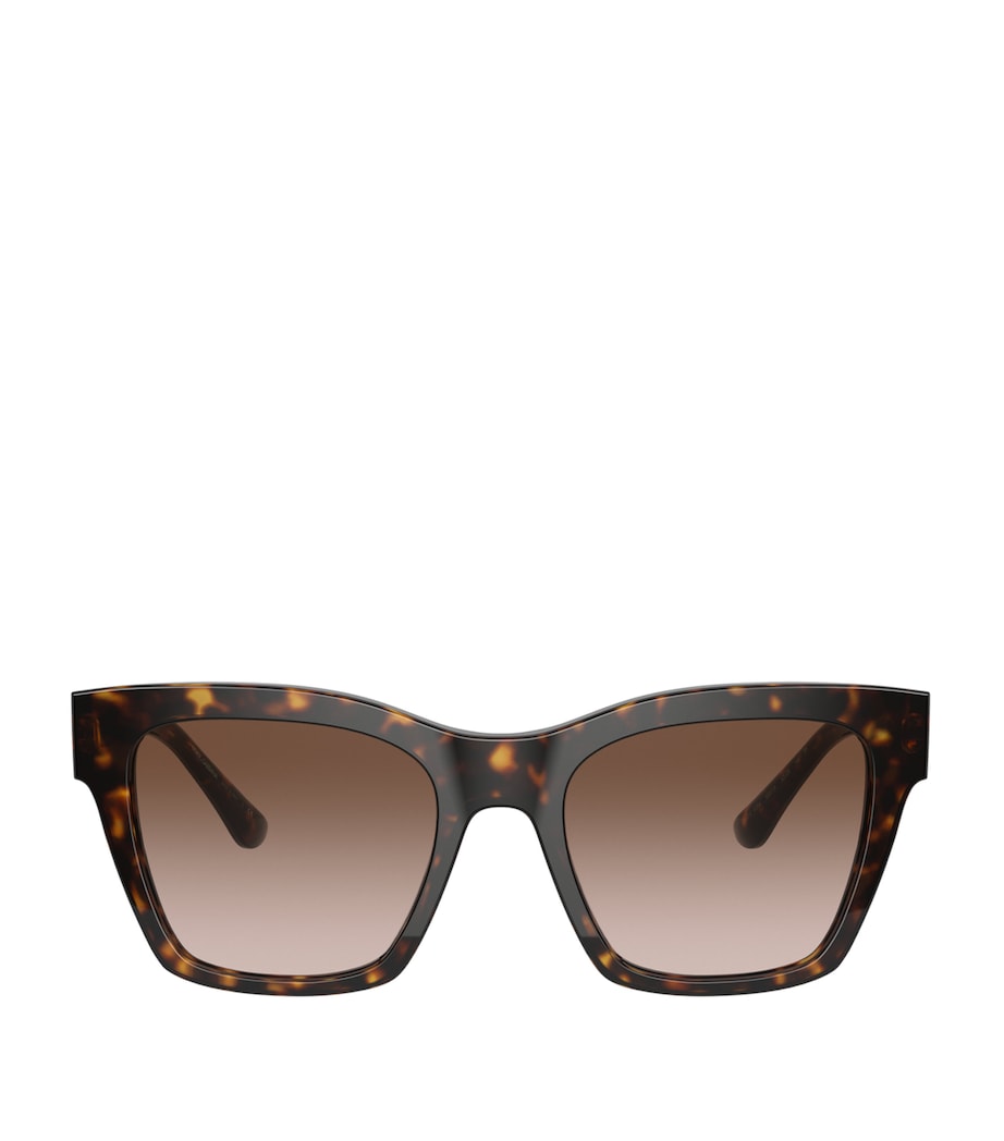 Brown Tortoiseshell Wayfarer Sunglasses