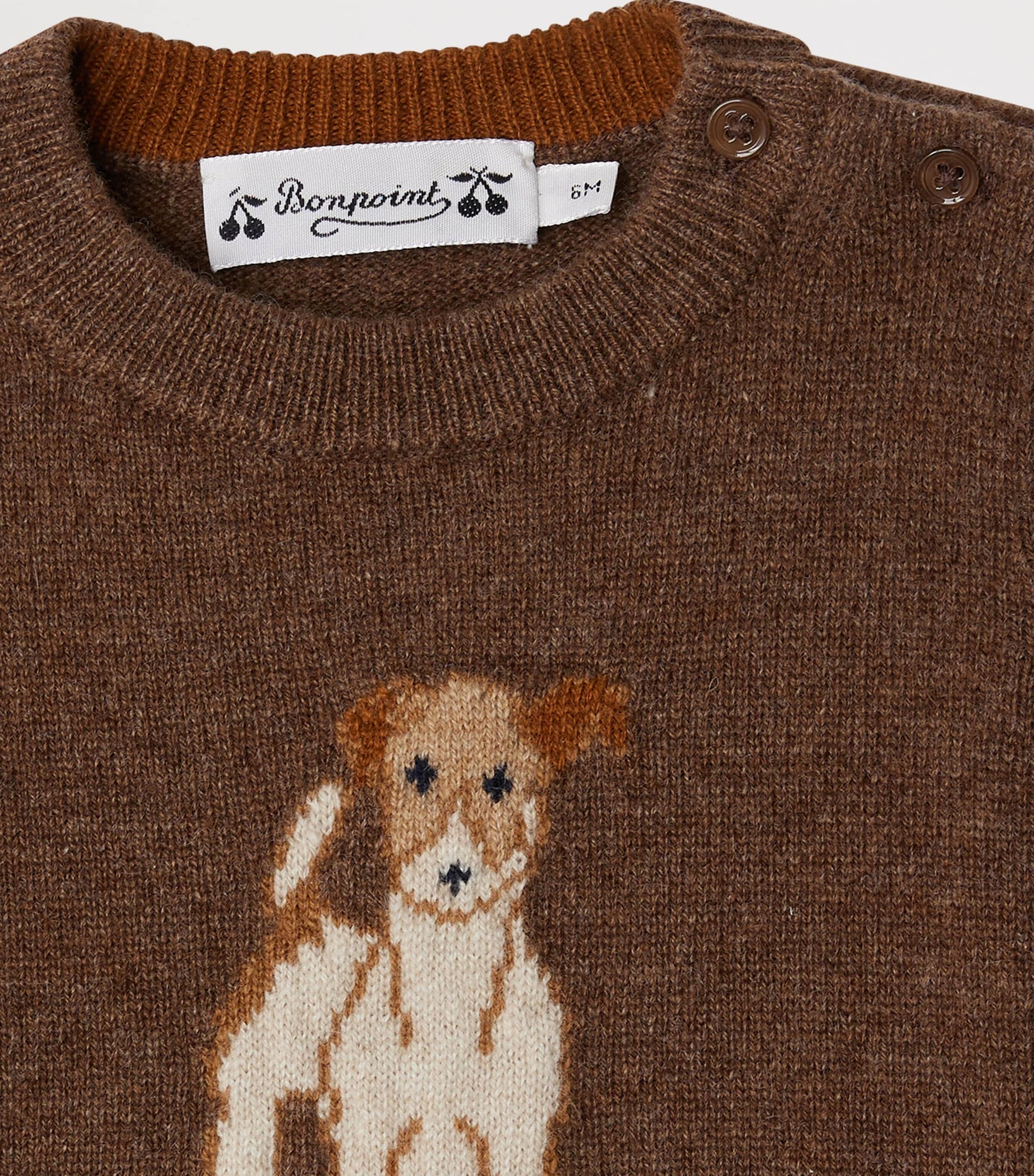 Cashmere Dog Sweater (6-18 Months)