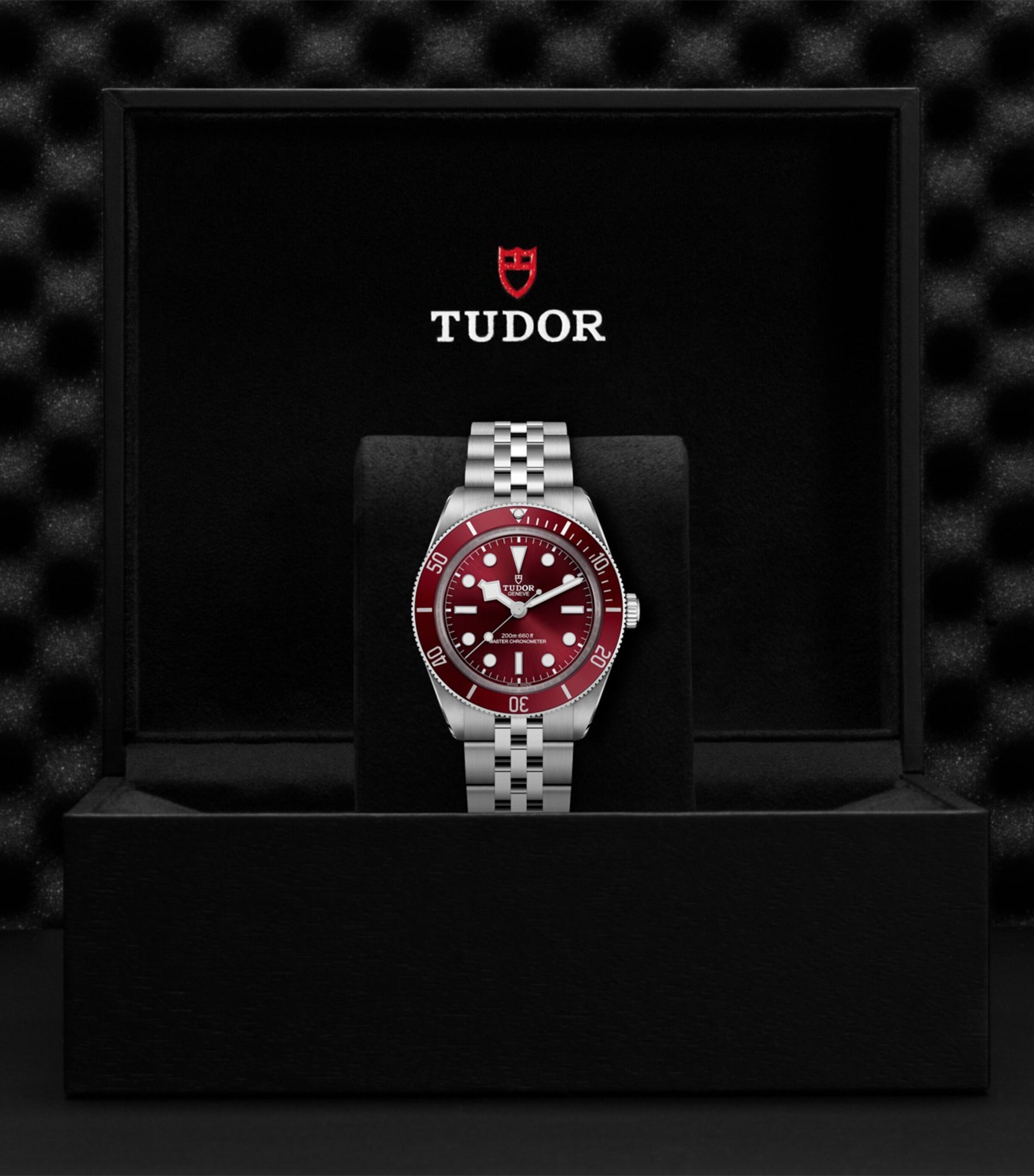 TUDOR Black Bay 58 Stainless Steel Watch 39mm