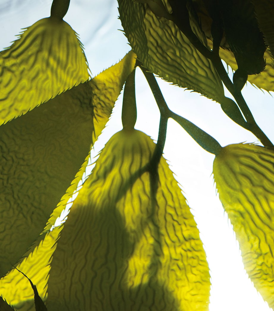 La Mer The Renewal Oil (30ml)