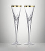 Set of 2 Celebrations Toasting Flutes (185ml)