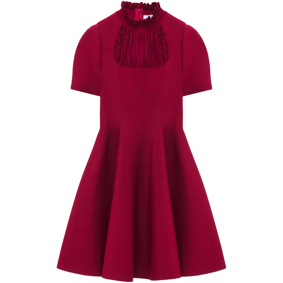 McQueen Lace Panel Mini Dress