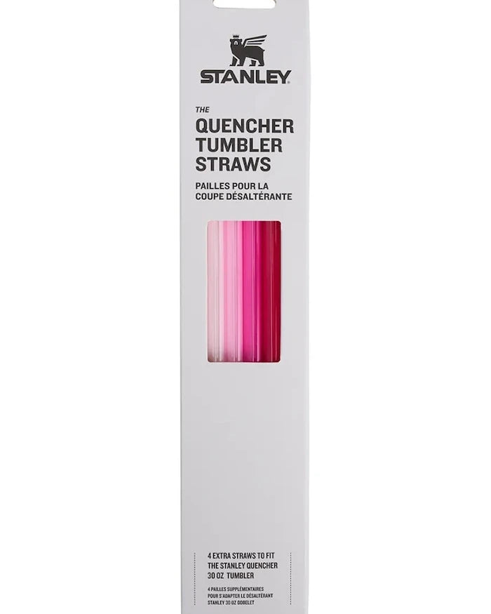 Stanley The Quencher 0,89 L için pipet seti