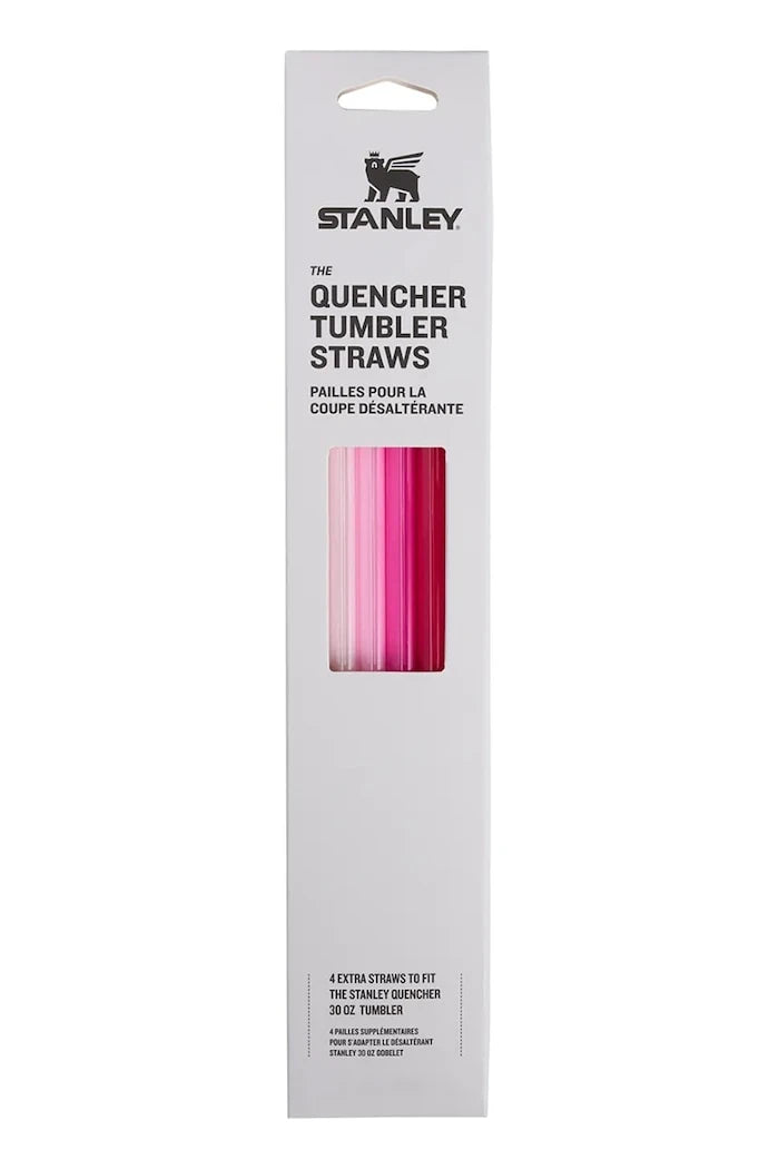 Stanley The Quencher 0,89 L için pipet seti
