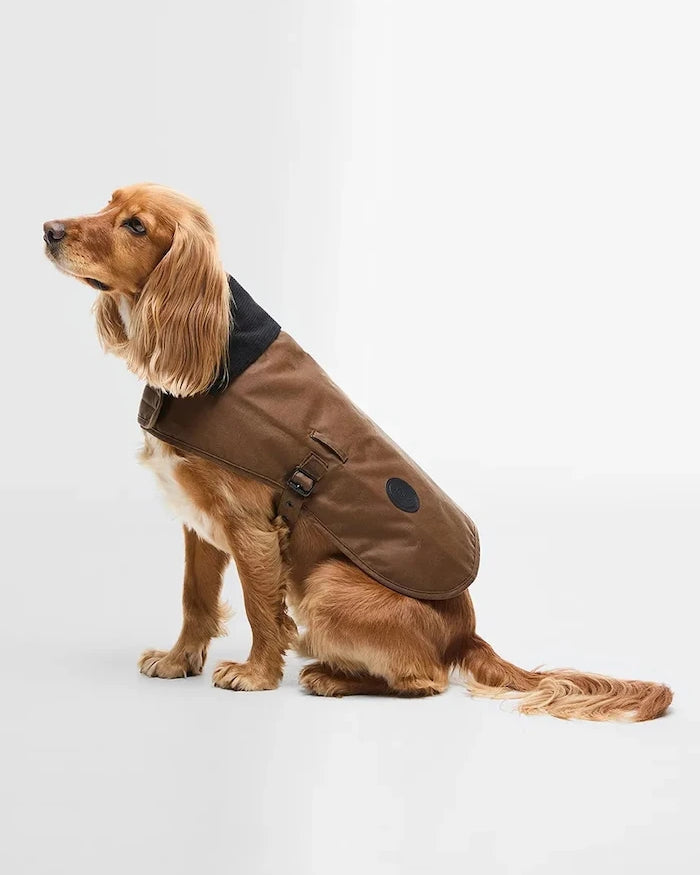 Barbour Köpek Montu