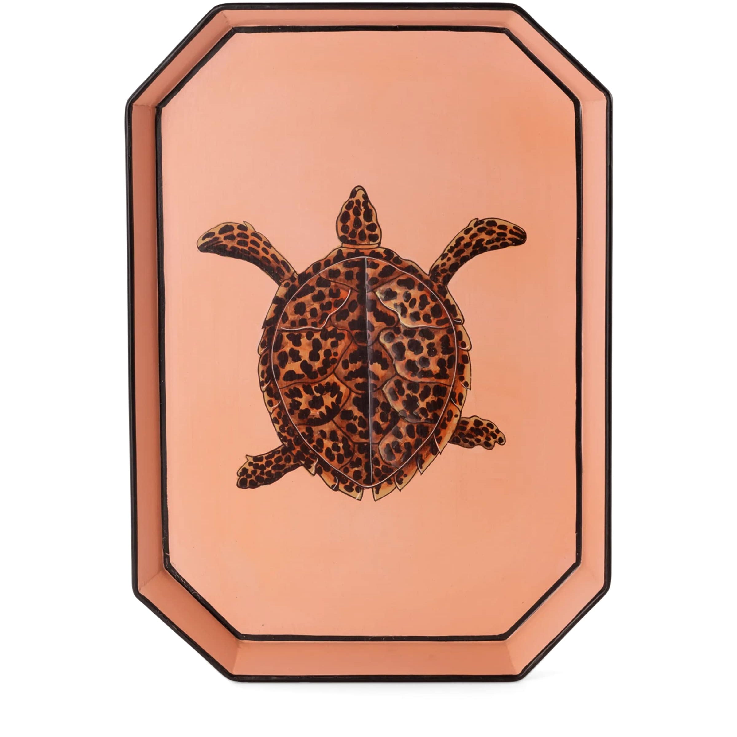 Iron Turtle Tray (43cm x 30cm)