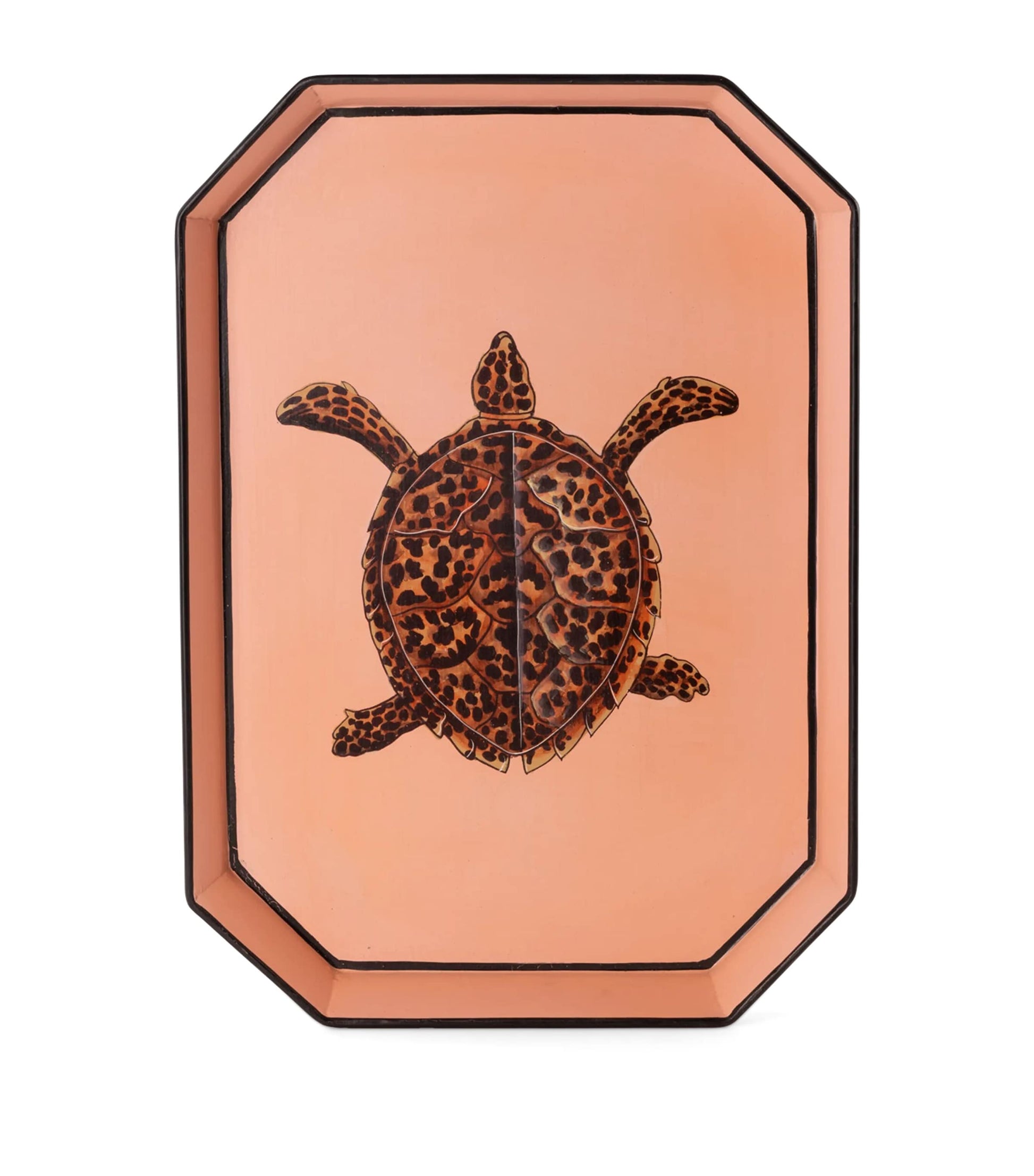 Iron Turtle Tray (43cm x 30cm)