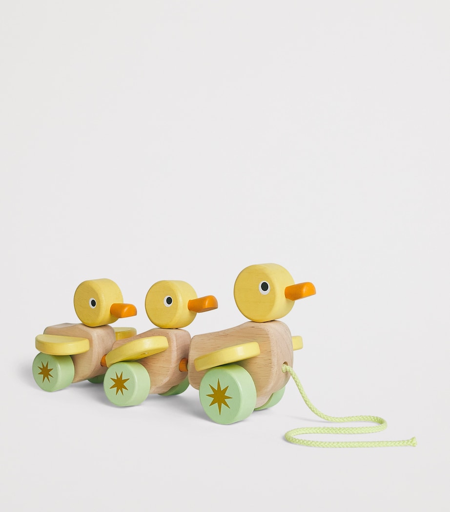 Duckling Pull-Along Toy