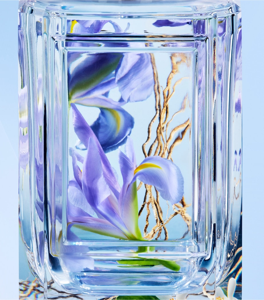 Olfactory Purple Rain (100ml)