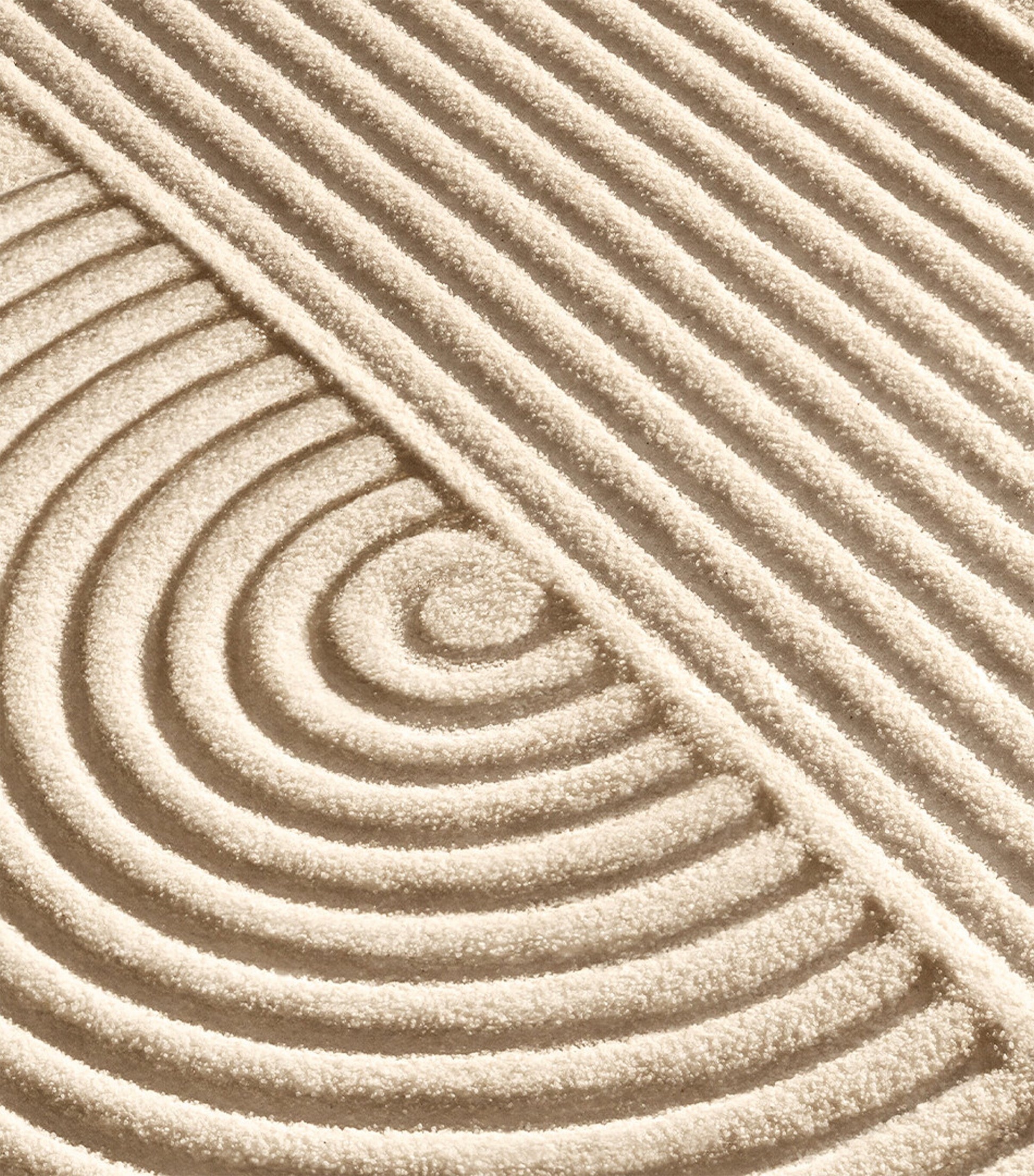 Daily Milkfoliant (74g)