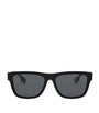 Acetate BE4293 Sunglasses