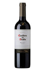 Casillero del Diablo Malbec, 75 cl