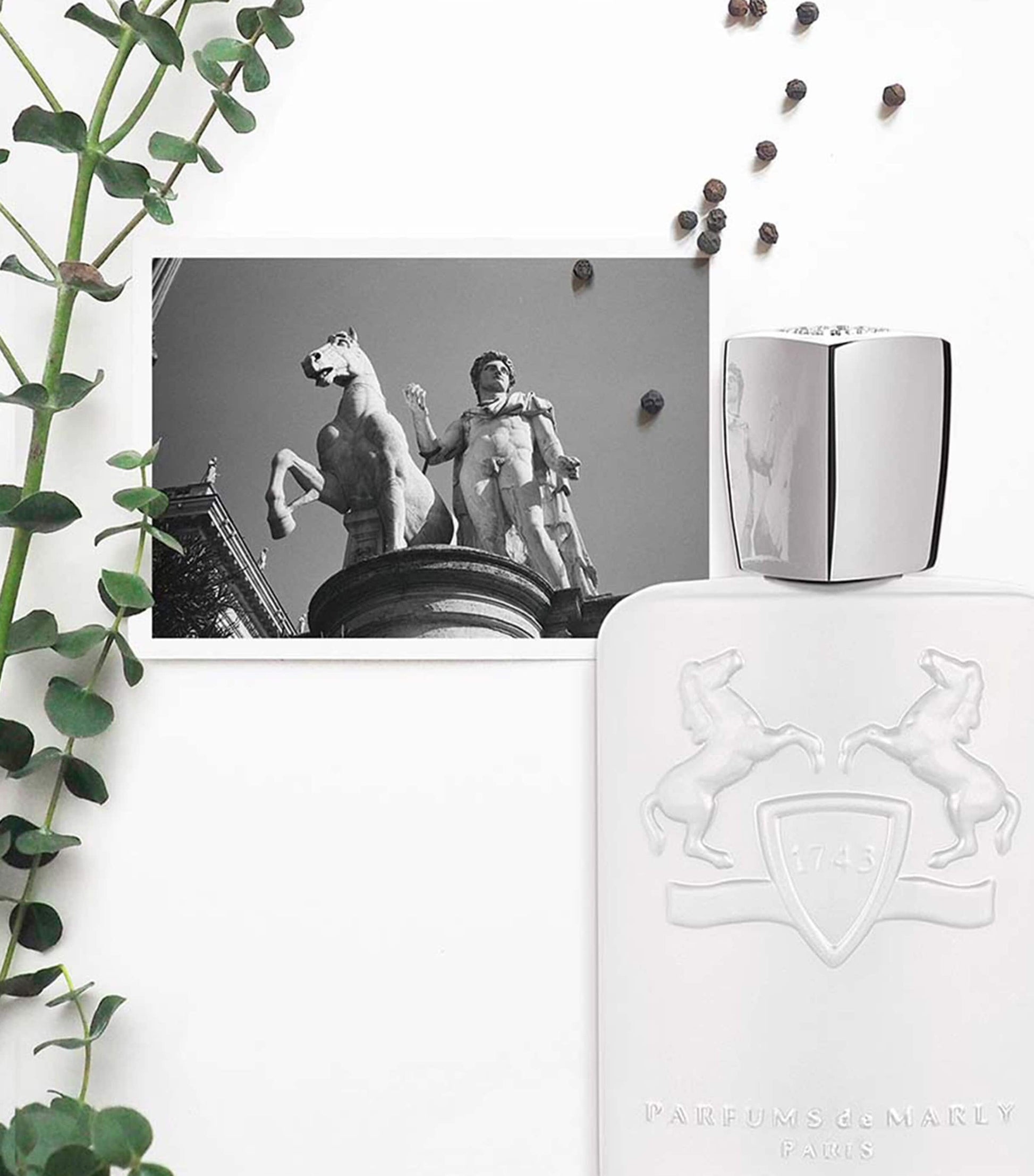 Galloway Eau de Parfum (125ml)