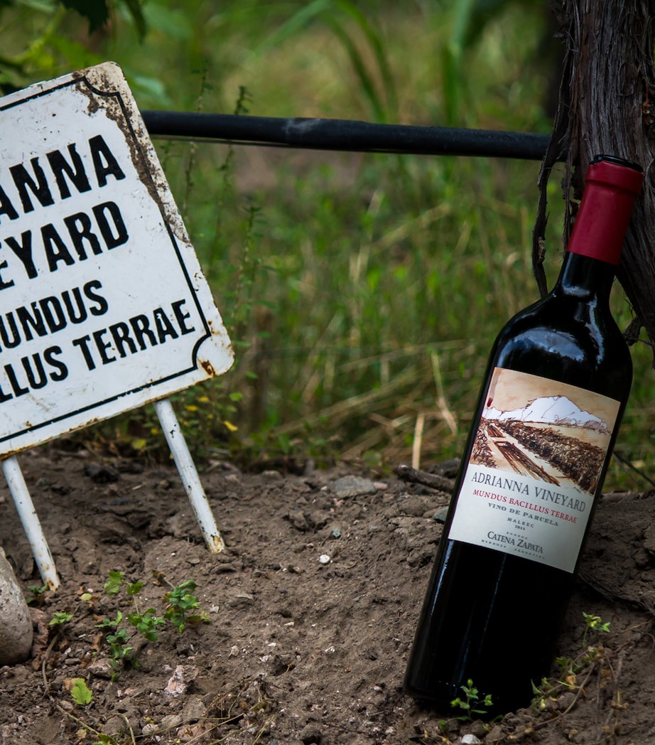 Catena Mundus Bacillus Terra Malbec (2021) - Mendoza, Argentina