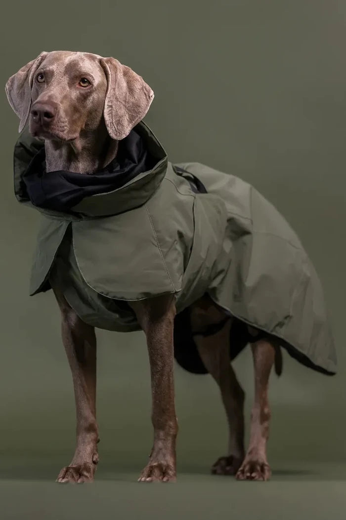 Зимно палто за куче PAIKKA Visibility Winter Jacket 45 x 40 x 2,1 cm