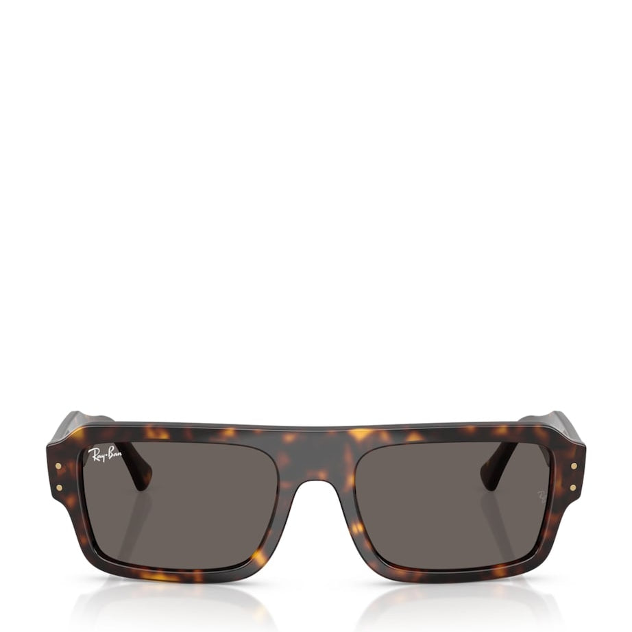 Ray-Ban Brown RB4454 Lukas Bio-Based Sunglasses