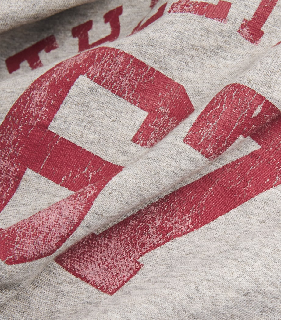 Polo Ralph Lauren Grey Cotton 67 Logo Sweatshirt