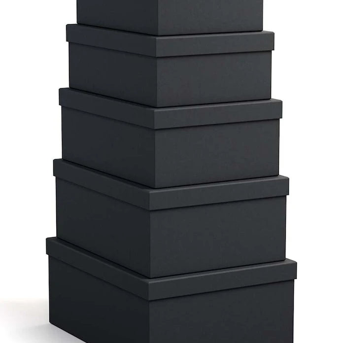 Bigso Box of Sweden Joel Saklama Kutusu Seti (5 Parça)