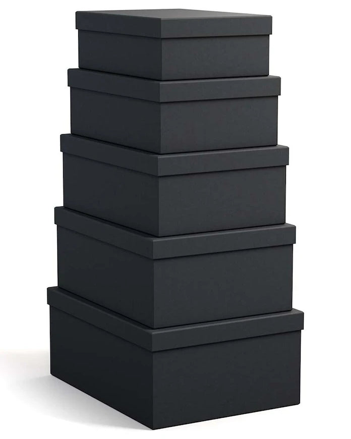 Bigso Box of Sweden Joel Saklama Kutusu Seti (5 Parça)